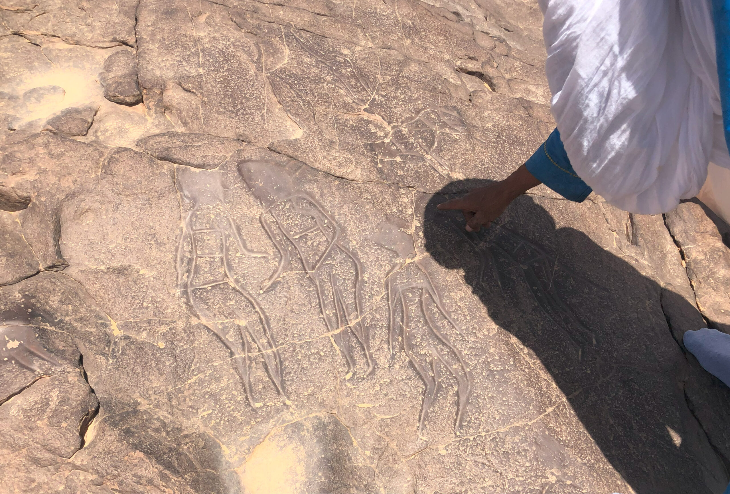 gravures rupestres montrant des hommes dans parc tassili n'ajjer