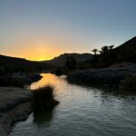 Oasis d'Ihérir au coucher du soleil