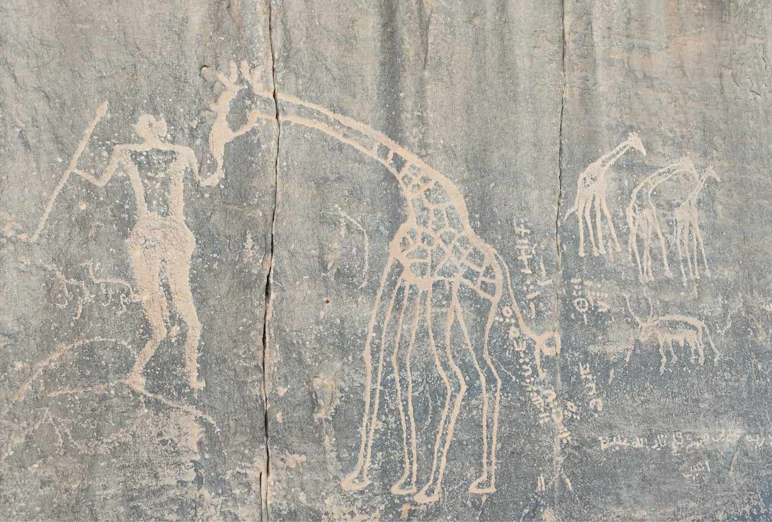 gravure rupestre girafe et homme avec lance - Circuit tadrart Rouge sahara algérie