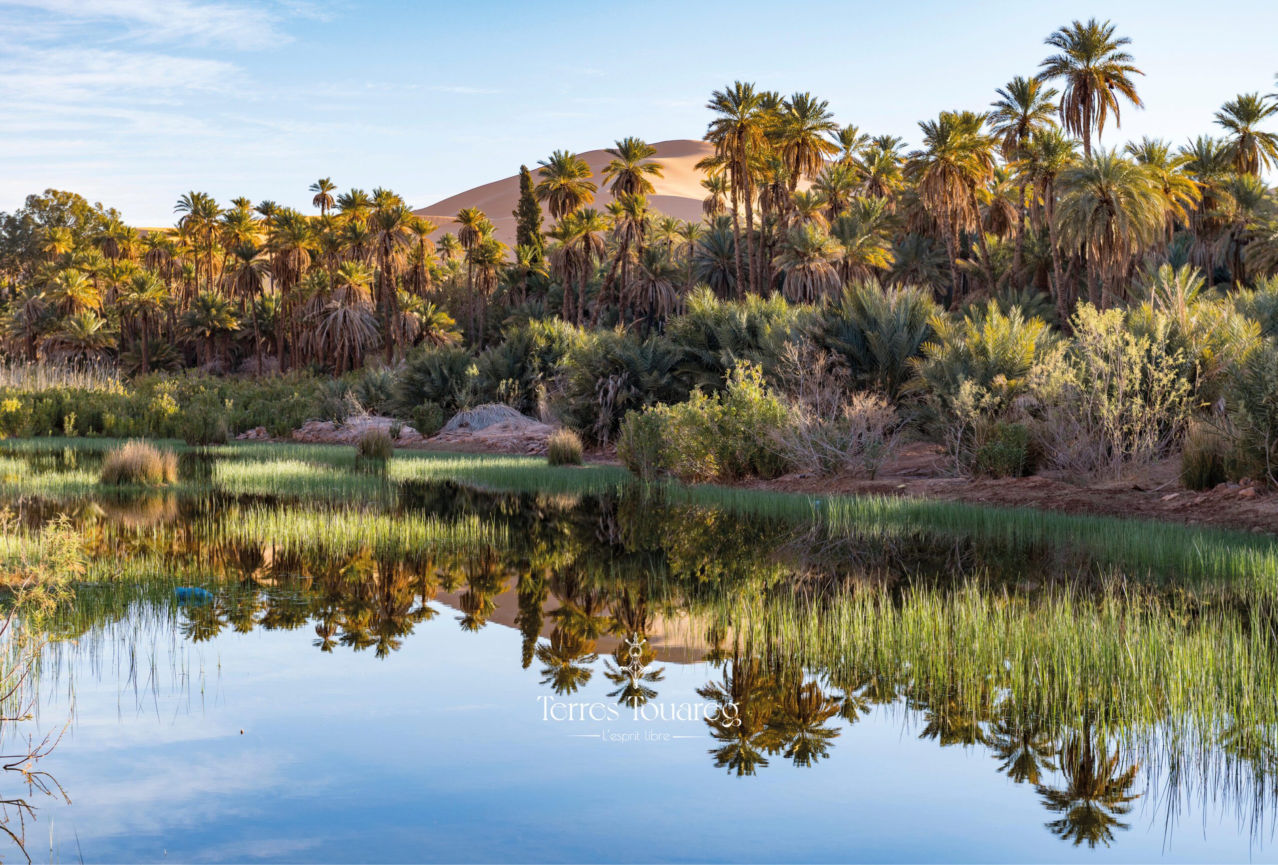 Oasis Taghit