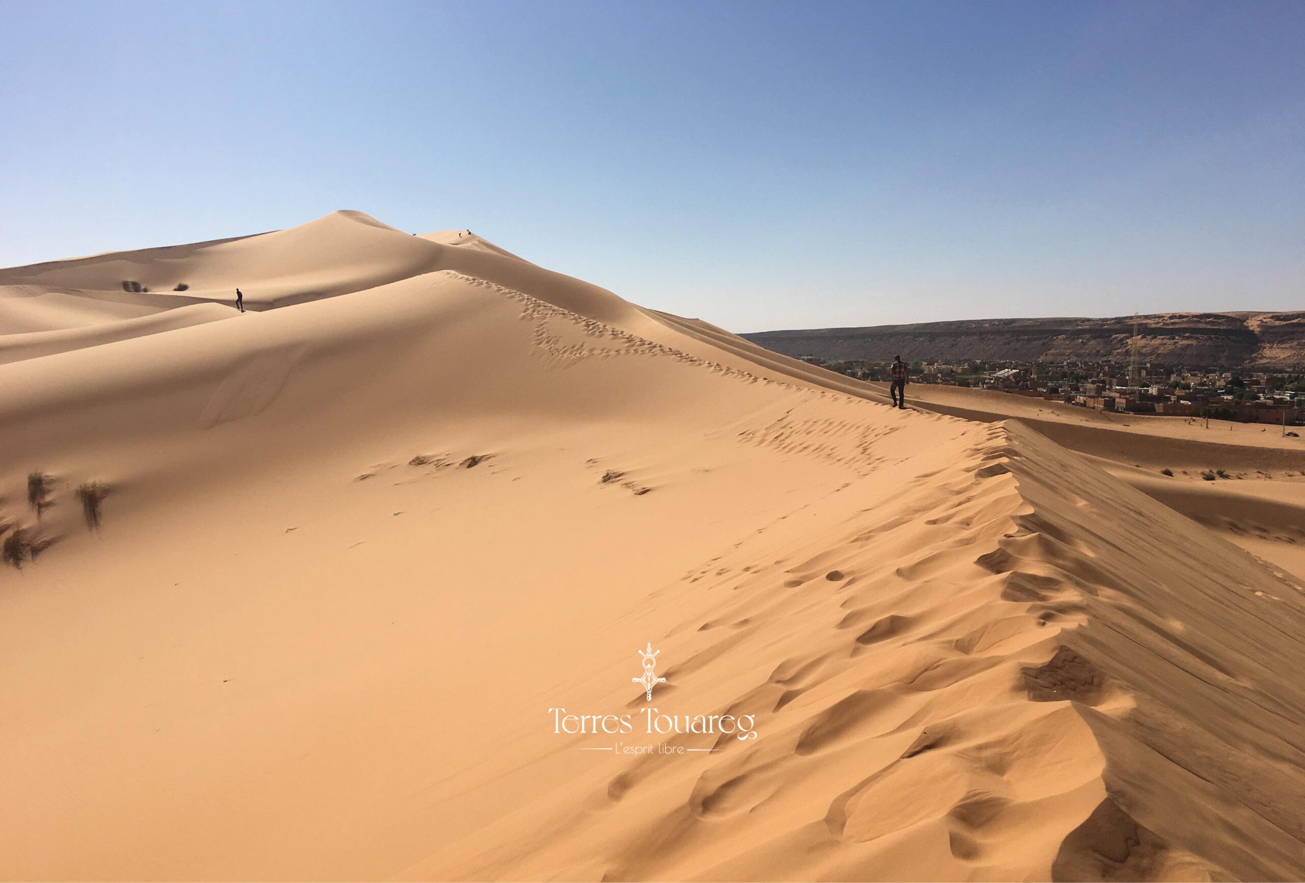 Grand Erg Occidental sahara algérien